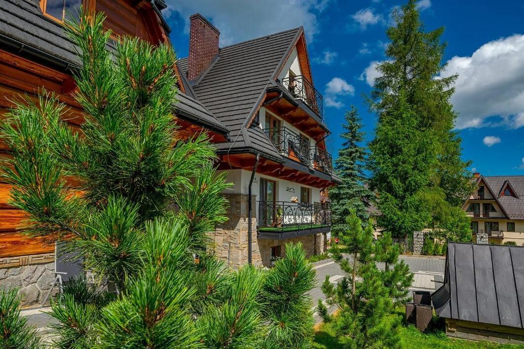 Willa Skalny Potok Zakopane Esterno foto