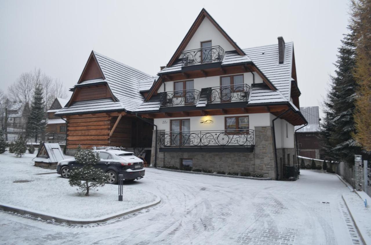 Willa Skalny Potok Zakopane Esterno foto